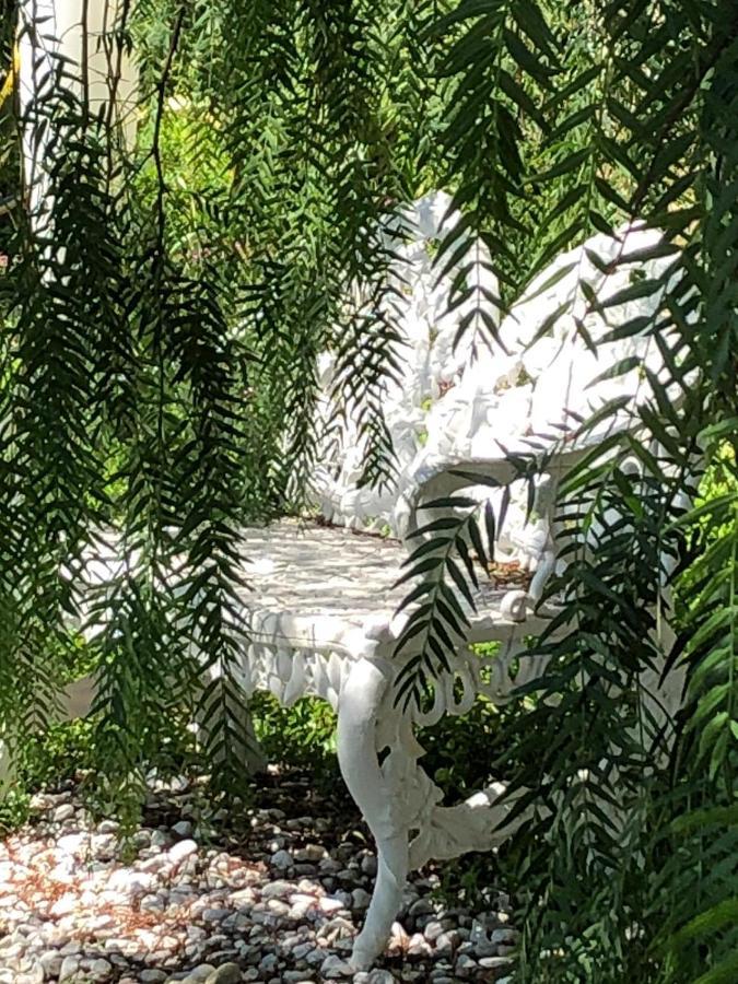 La Casa Di Sissi B&B Sanremo Dış mekan fotoğraf