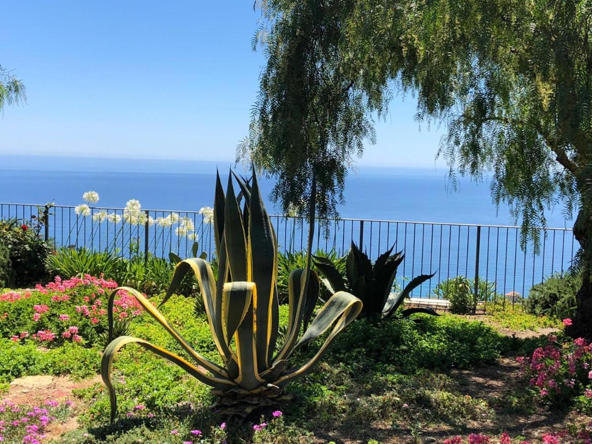 La Casa Di Sissi B&B Sanremo Dış mekan fotoğraf