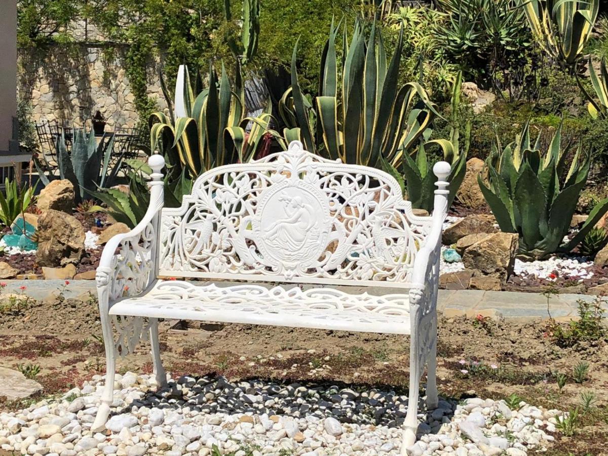 La Casa Di Sissi B&B Sanremo Dış mekan fotoğraf