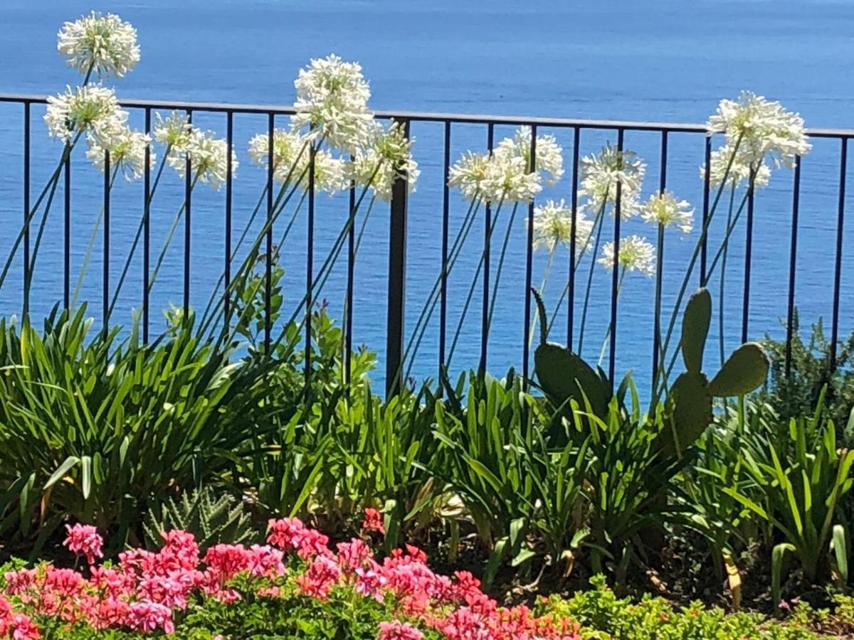 La Casa Di Sissi B&B Sanremo Dış mekan fotoğraf