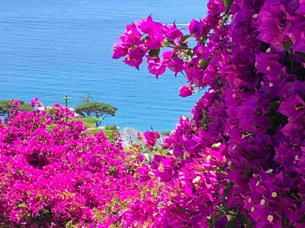 La Casa Di Sissi B&B Sanremo Dış mekan fotoğraf