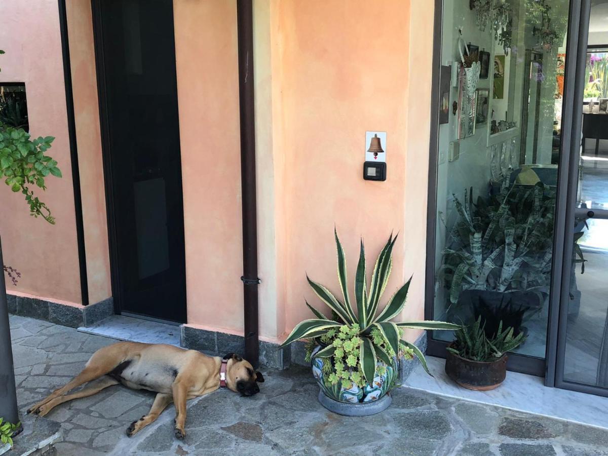 La Casa Di Sissi B&B Sanremo Dış mekan fotoğraf