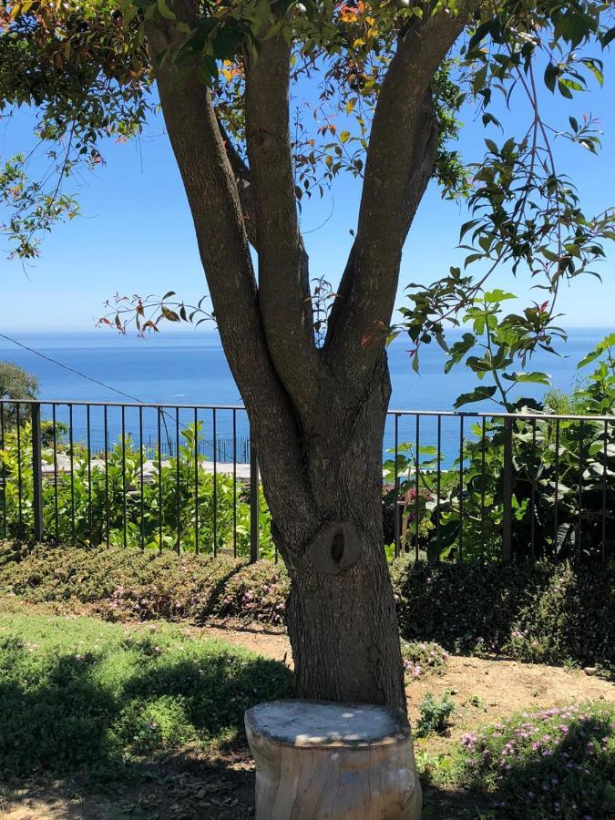 La Casa Di Sissi B&B Sanremo Dış mekan fotoğraf