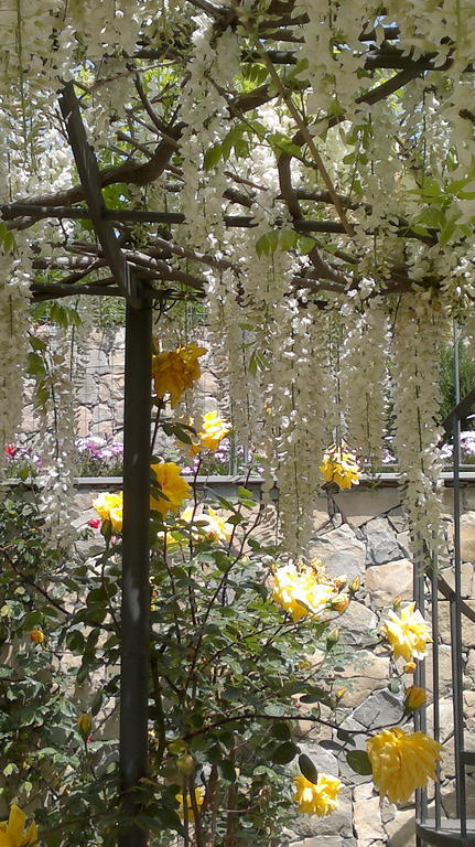 La Casa Di Sissi B&B Sanremo Dış mekan fotoğraf